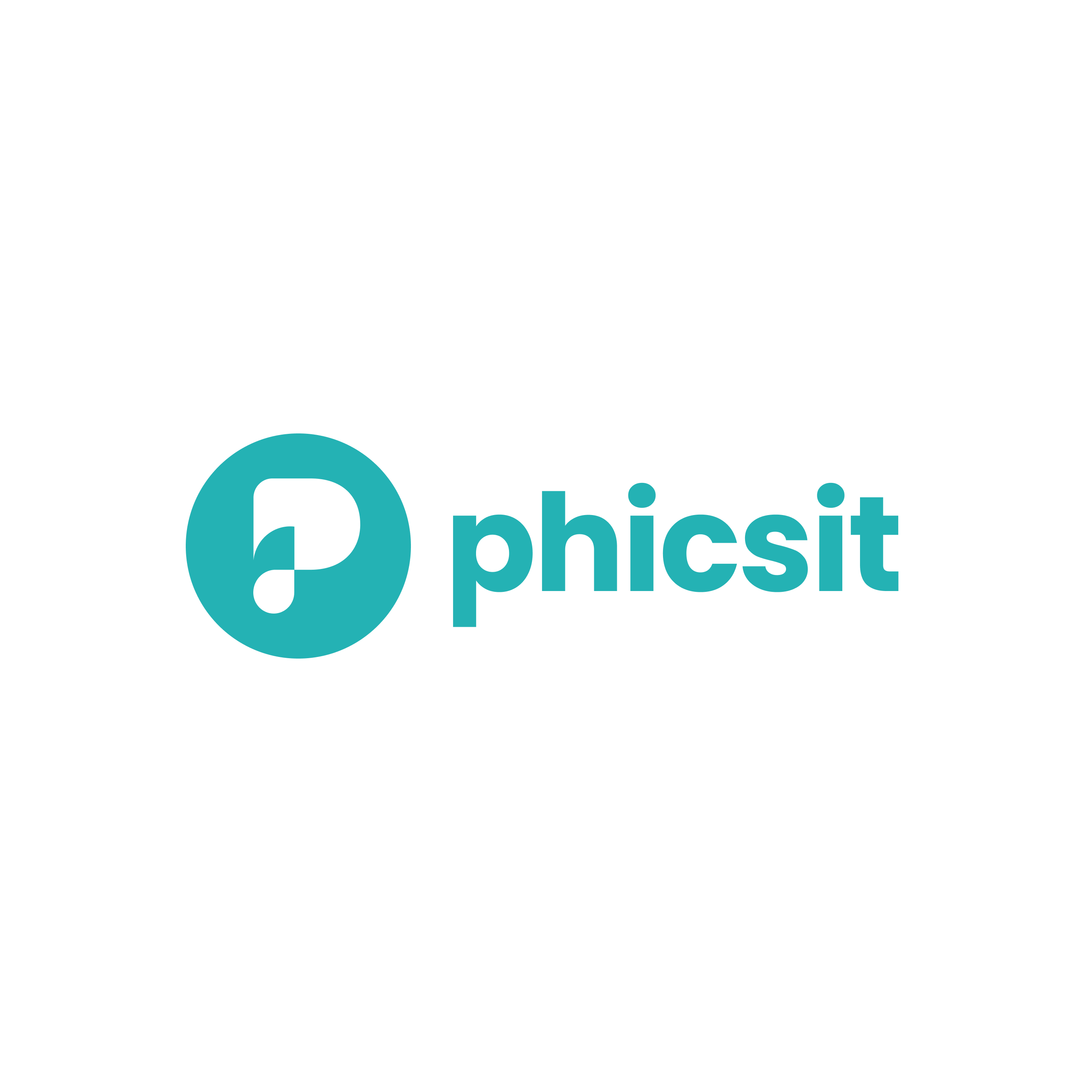 Phicsit